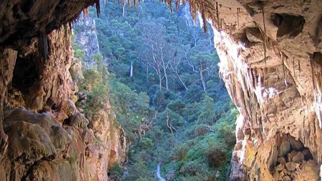 Kookal Kodaikanal Travel Guide