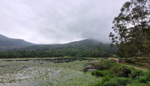 Kookal Kodaikanal Travel Guide – Best Places, Stay, Trekking & How to Reach