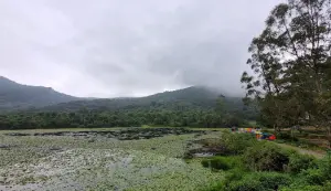 Kookal Kodaikanal Travel Guide – Best Places, Stay, Trekking & How to Reach 