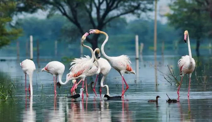 Bharatapur me ghumne ki jagah