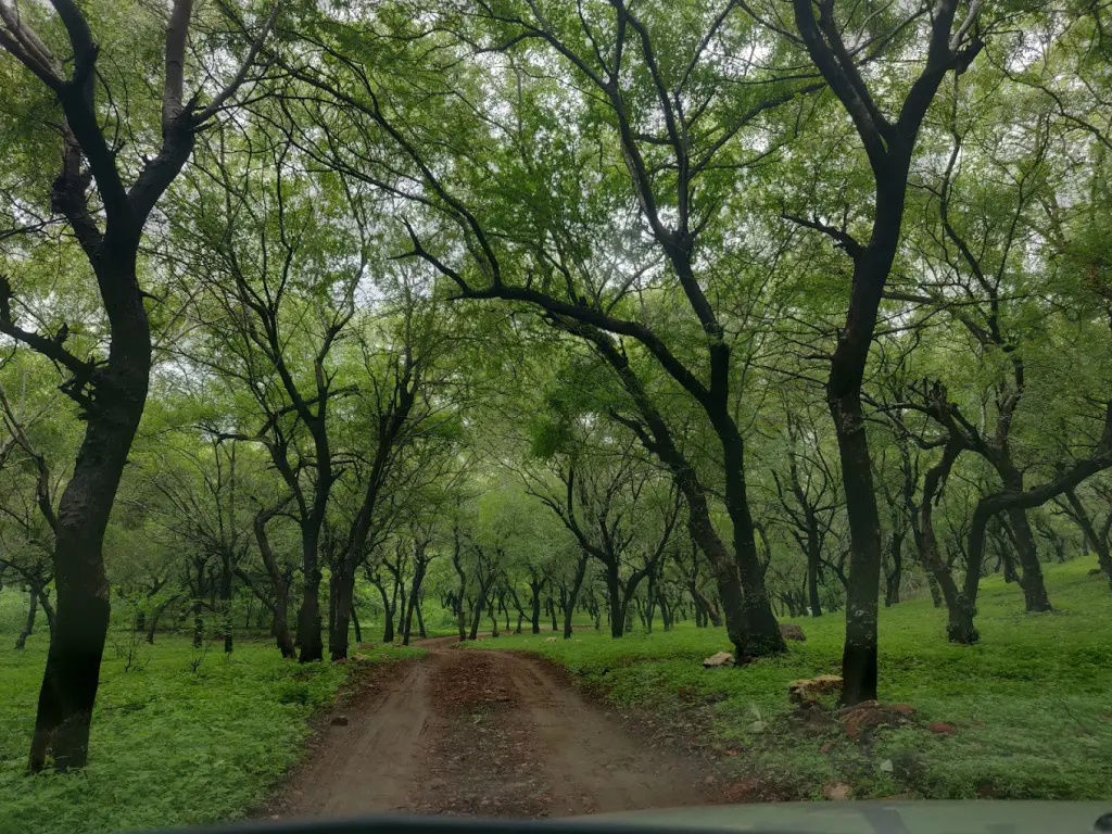 भीलवाड़ा में घूमने की जगहें